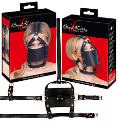 head harness with a gag