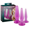 Pleasurable Anal Training Set