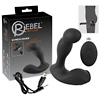 RC Prostate Massager
