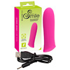 Rechargeable Power Bullet