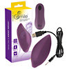 Panty Vibrator