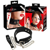 Silicone Collar with Leash