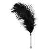 Feather Tickler