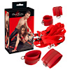 Bed Restraint Set