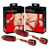Hand/Leg Restraints