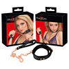 Collar with Leash