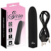 Mini Vibrator